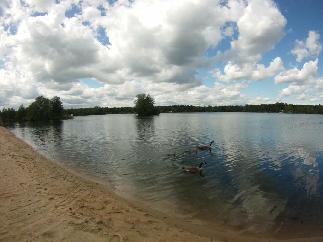 Chemnitz - Haus Am See Mit Sandstrand Nahe Rhein-Main Und Spessart Kahl am Main المظهر الخارجي الصورة